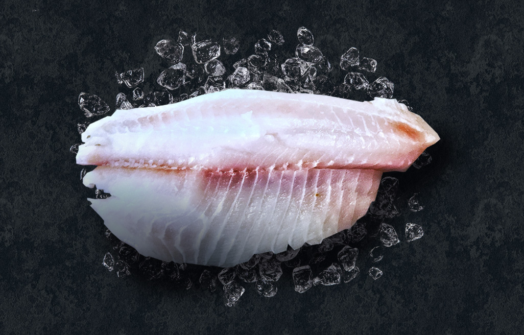 white fish fillet