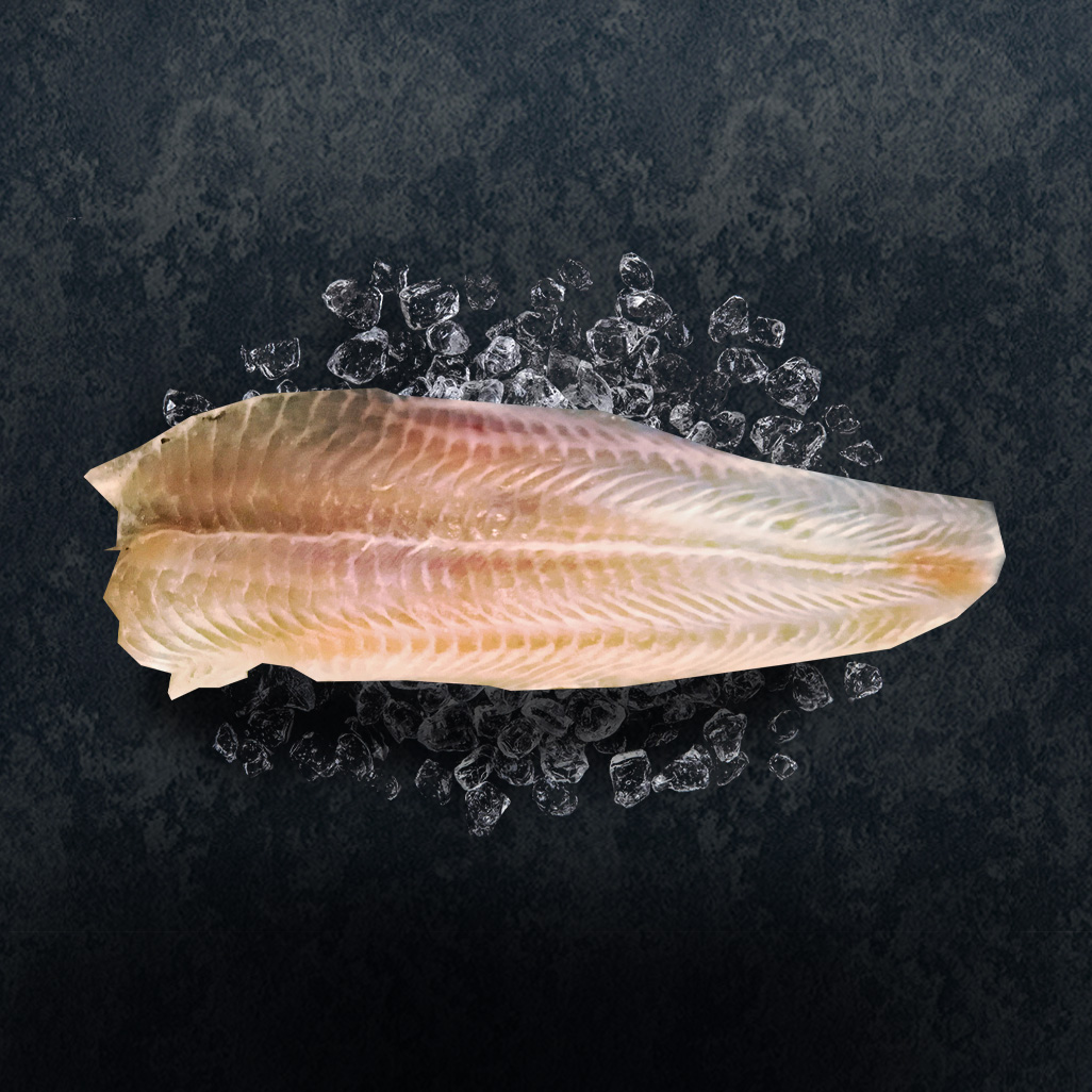 sutchi fish fillet thumbnail
