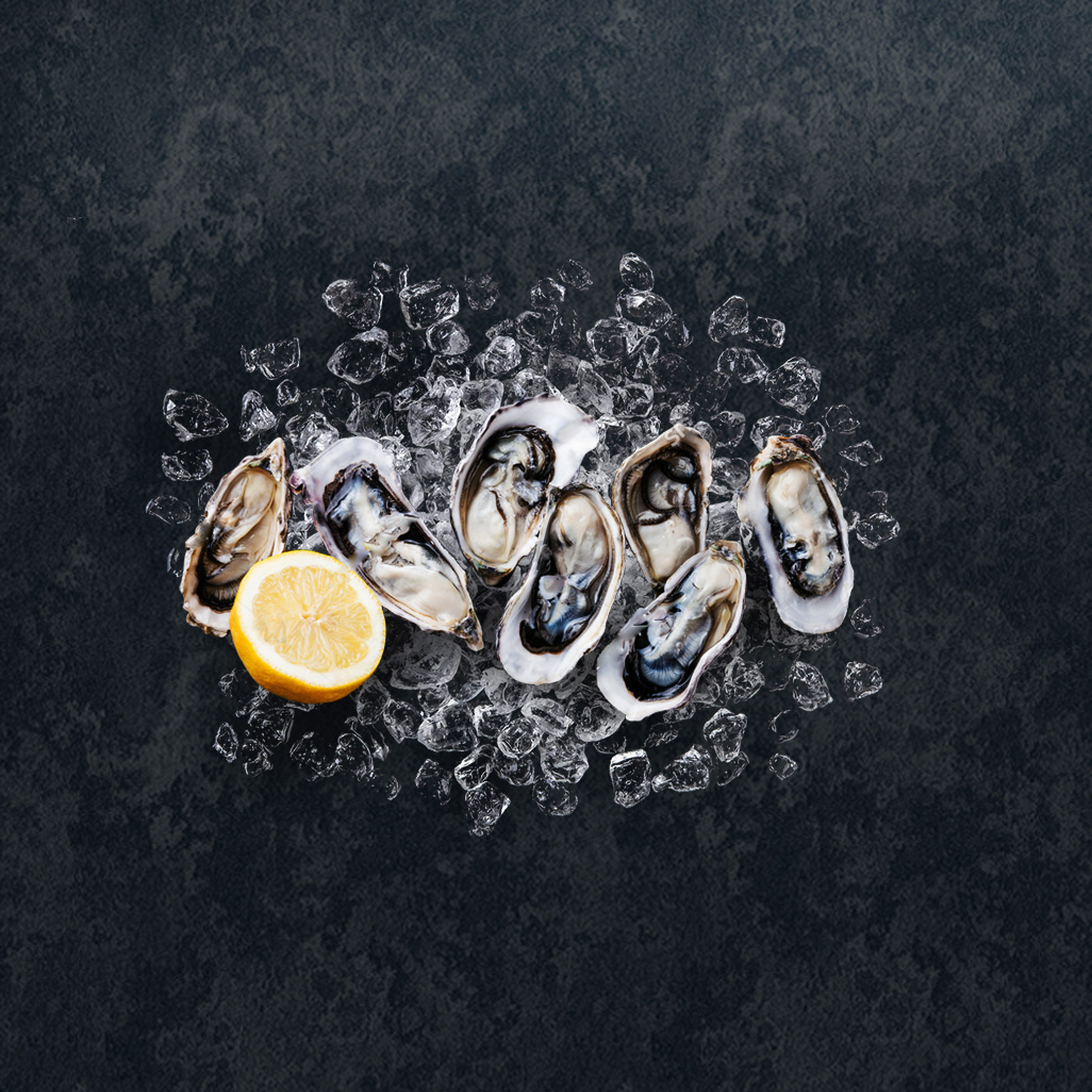 Half Shell Oyster thumbnail