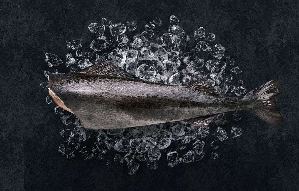 Black Cod Fish headless