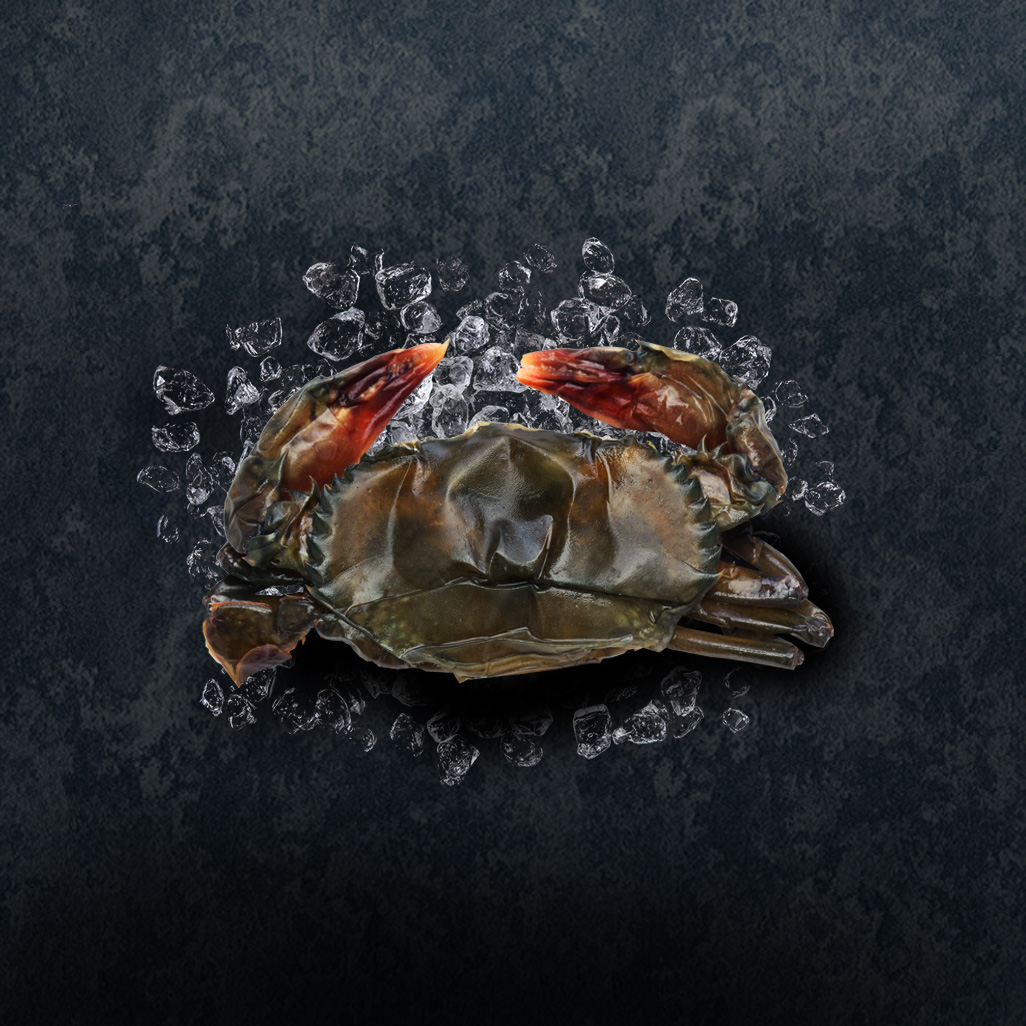 soft shell crab thumail