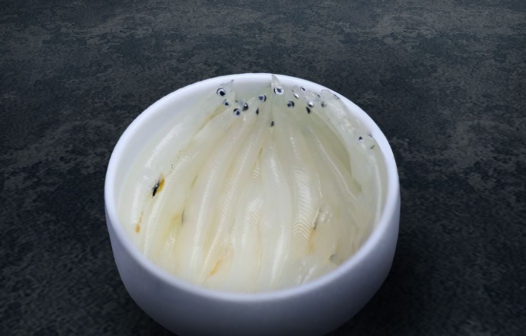 White Baits Silver Fish raw